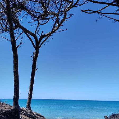 Appartamento Mare Toscano Riparbella Esterno foto