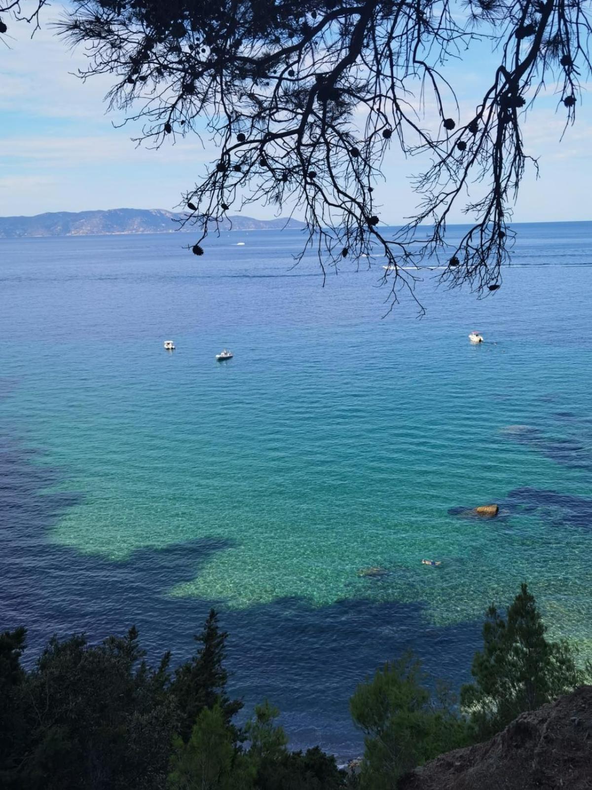 Appartamento Mare Toscano Riparbella Esterno foto